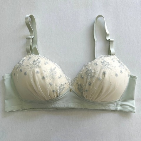 レディース ノンワイヤーブラジャー（３L～６L）