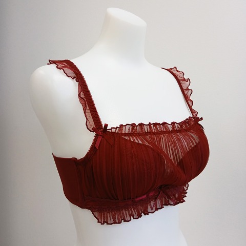 レディース　ワイヤーブラジャー（ちーちょろす / D・Eカップ）