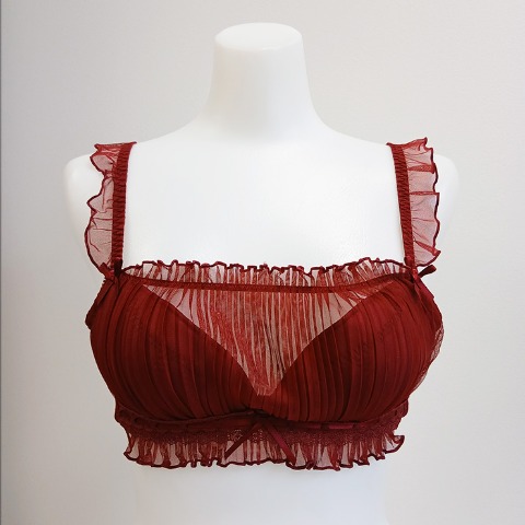 レディース　ワイヤーブラジャー（ちーちょろす / F・Gカップ）