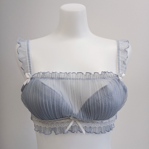 レディース　ワイヤーブラジャー（ちーちょろす / F・Gカップ）