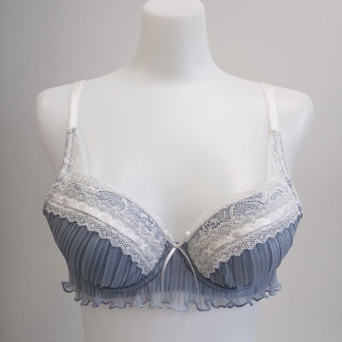 レディース　ワイヤーブラジャー（ちーちょろす / C・D・Eカップ）