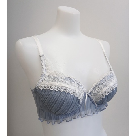 レディース　ワイヤーブラジャー（ちーちょろす / C・D・Eカップ）