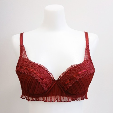 レディース　ワイヤーブラジャー（ちーちょろす / F・G・Hカップ）