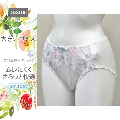 レディース ショーツ（７L～８L）