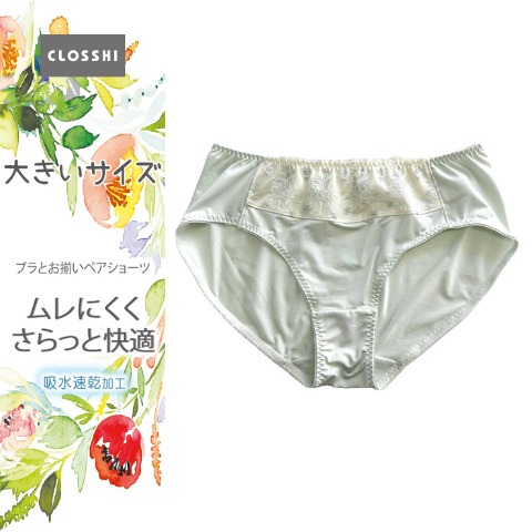 レディース ショーツ（３L～６L）