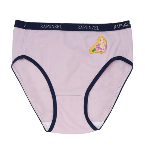 レディース　3枚組ショーツ（3L～4L・ディズニープリンセス）