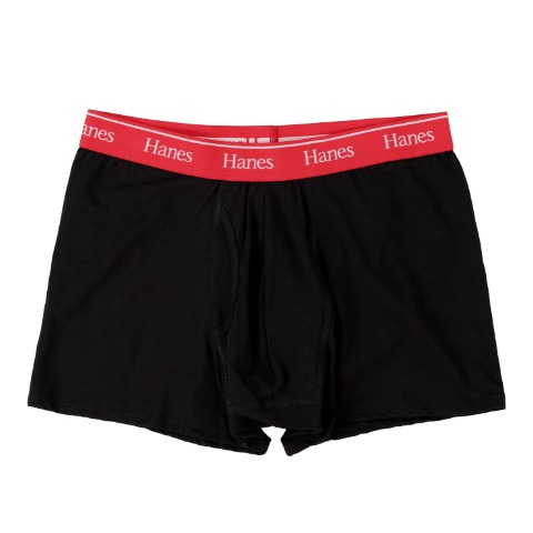 メンズ　2枚組ボクサーブリーフ（HANES）