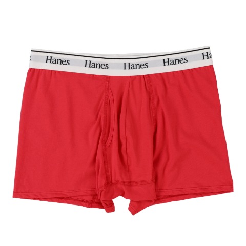 メンズ　2枚組ボクサーブリーフ（HANES）