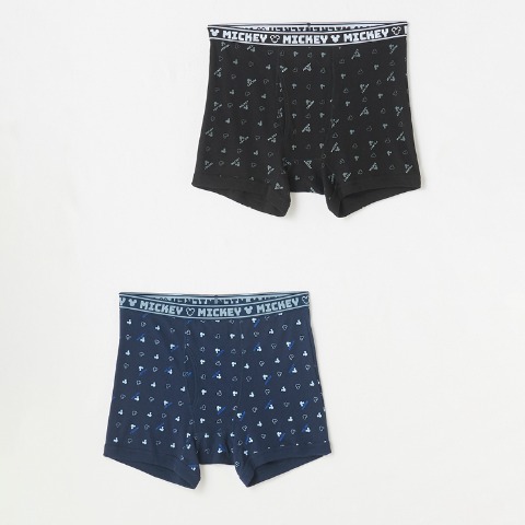 メンズ　2枚組ボクサーブリーフ（3L～5L・Disney）