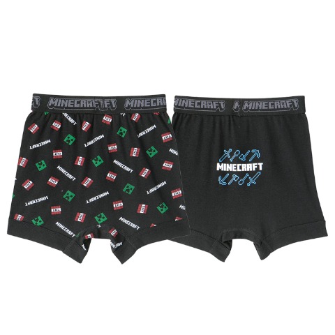 ボーイズ 2枚組ボクサーブリーフ（110-140cm・マインクラフト）
