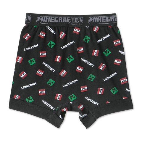 ボーイズ 2枚組ボクサーブリーフ（110-140cm・マインクラフト）