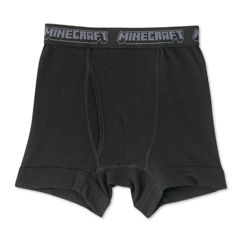 ボーイズ 2枚組ボクサーブリーフ（110-140cm・マインクラフト）