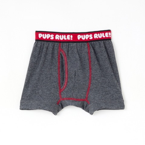 ボーイズ 6枚組ボクサーブリーフ（110-120cm　パウ・パトロール）