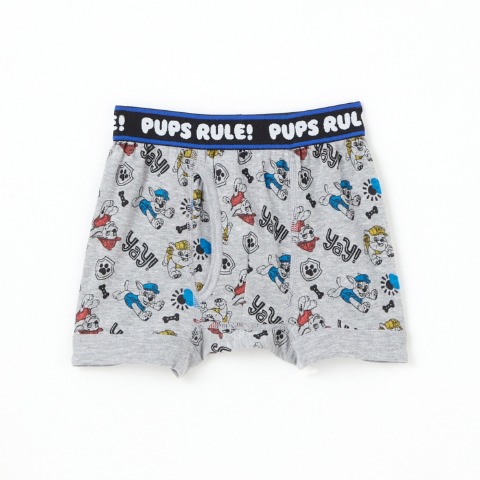 ボーイズ 6枚組ボクサーブリーフ（110-120cm　パウ・パトロール）