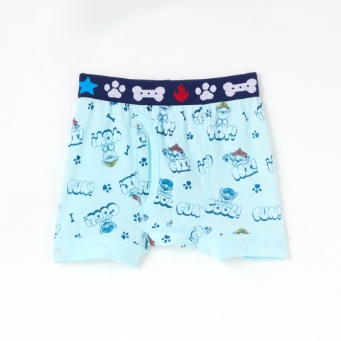 ボーイズ 6枚組ボクサーブリーフ（110-120cm　パウ・パトロール）