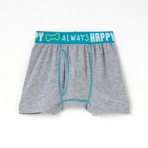 ボーイズ 6枚組ボクサーブリーフ（110-120cm　パウ・パトロール）