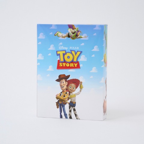 ボーイズ 6枚組ボクサーブリーフ（110-130cm　トイ・ストーリー）