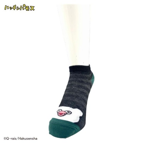 メンズ　スニーカーインソックス 24-26cm（ハッチンパモス）