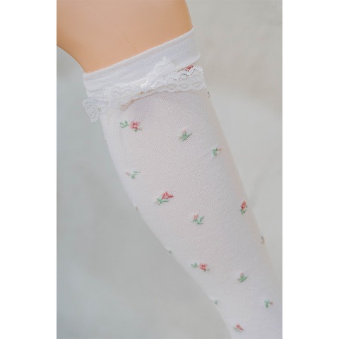 レディース　ハイソックス（青木美沙子）