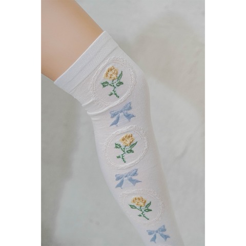 レディース　オーバーニーソックス（青木美沙子）