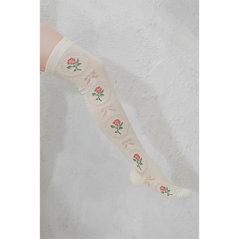 レディース　オーバーニーソックス（青木美沙子）