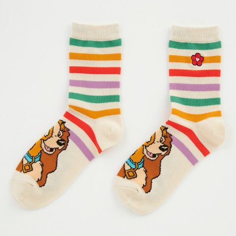 レディース　ソックス（LINK@×LITTC・Disney）