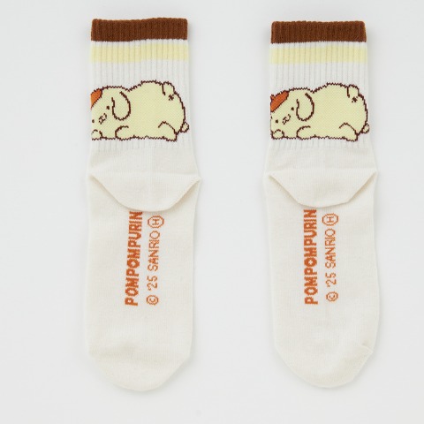 レディース　ソックス（ポムポムプリン）