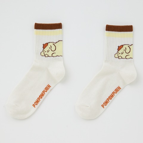 レディース　ソックス（ポムポムプリン）