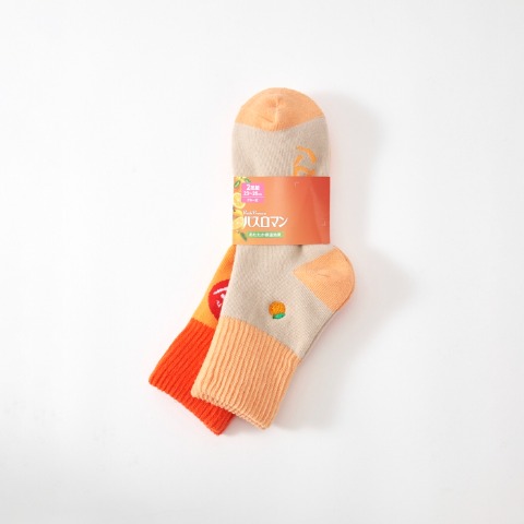 レディース　2足組ソックス（バスロマン）