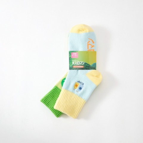レディース　2足組ソックス（バスロマン）