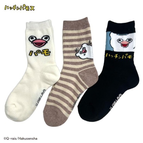 レディース　クルー丈 総パイルソックス（ハッチンパモス）