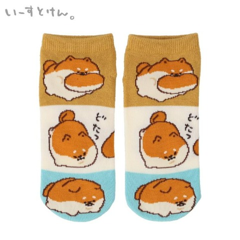 レディース　スニーカーソックス（いーすとけん。）