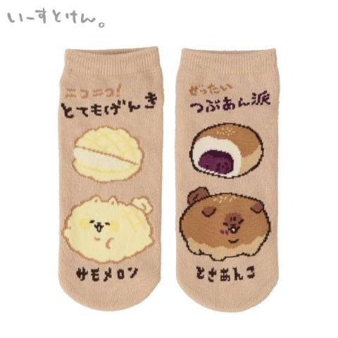 レディース　スニーカーソックス（いーすとけん。）