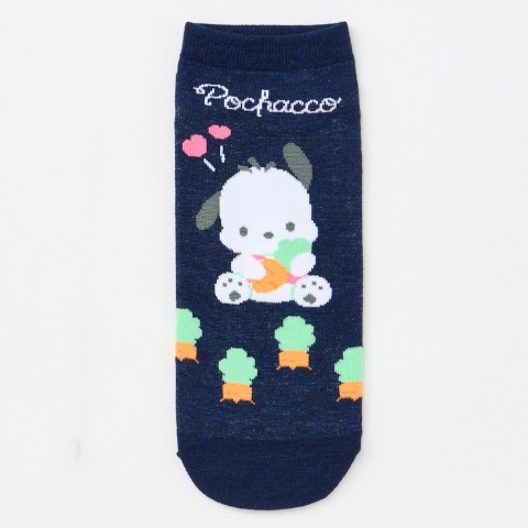 レディース　キャラクターソックス　ハッピーバッグ　6点セット（ポチャッコ）