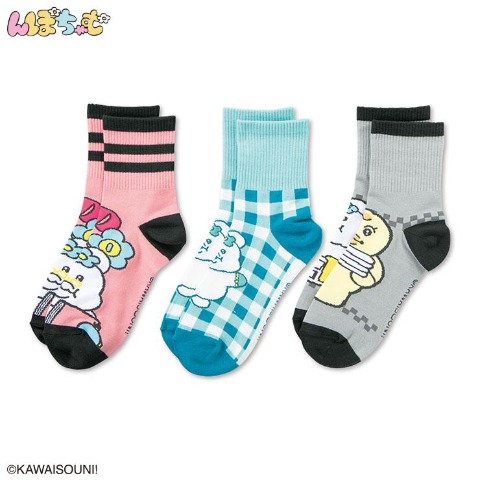 レディース クォーターソックス 3足組（んぽちゃむ）