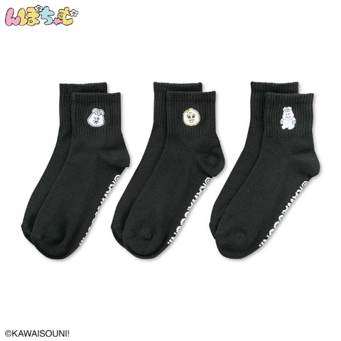 レディース クォーターソックス 3足組（んぽちゃむ）