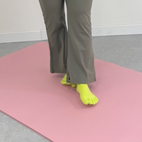 レディース　ソックス（おかだゆり）