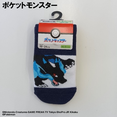 キッズ　クルーソックス（15-20・19-24cm / ポケットモンスター）