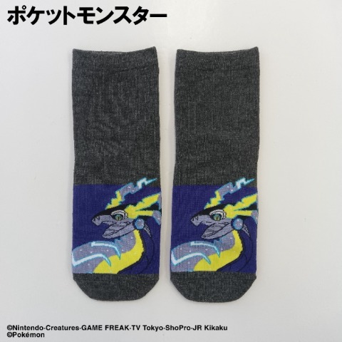 キッズ　クルーソックス（15-20cm・19-24cm　ポケットモンスター）