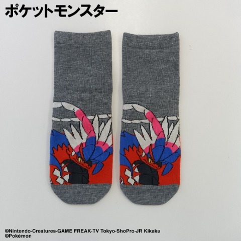キッズ　クルーソックス（15-20cm・19-24cm　ポケットモンスター）