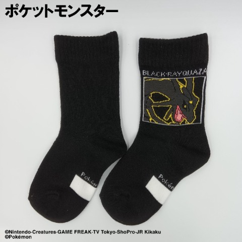 キッズ　クルーソックス（15-20・19-24cm　ポケットモンスター）
