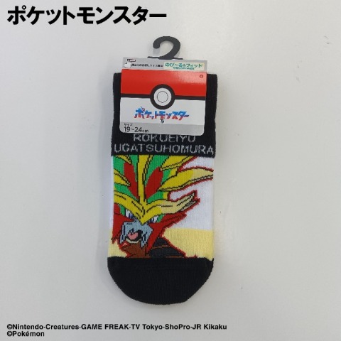 キッズ　スニーカーインソックス（15-20・19-24cm / ポケットモンスター）