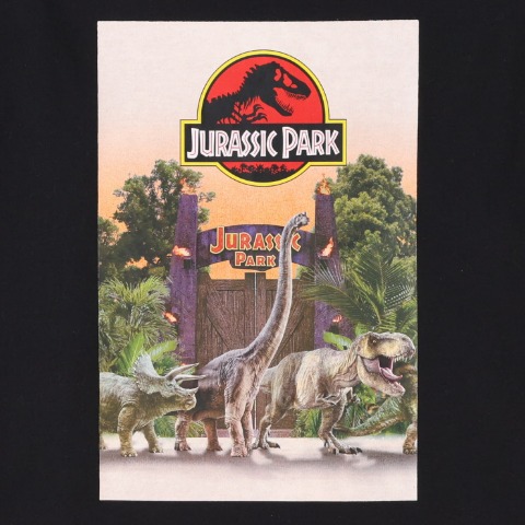 レディース　長袖Tシャツ　(JURASSIC WORLD)