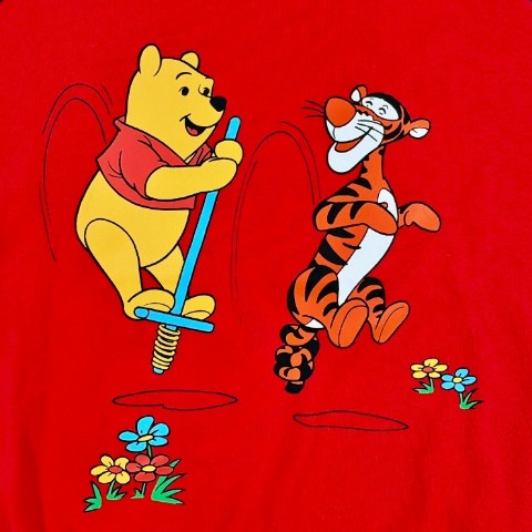 レディース　トレーナー（DISNEY）