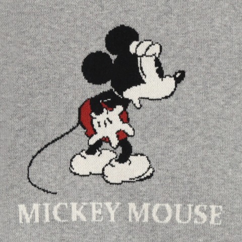 レディース　ニットプルオーバー（SUNNY HOUSE・Disney）