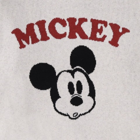 レディース　ニットプルオーバー（SUNNY HOUSE・Disney）