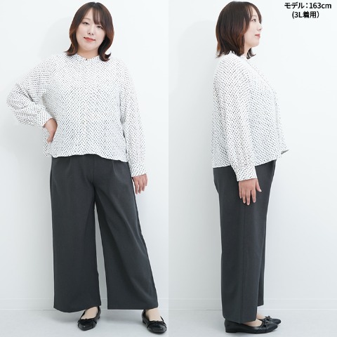 レディース　ピンタックブラウス（Hina）