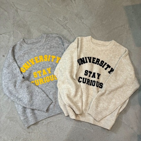 レディース　フロッキーロゴニットプルオーバー（NON）