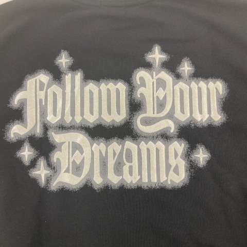 レディース　プルオーバー（VEHEMENT..）