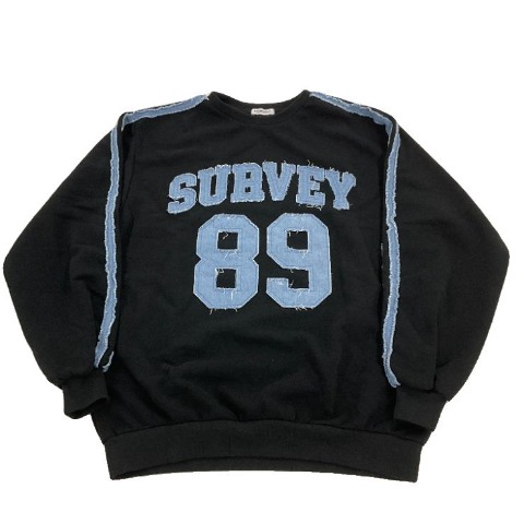 レディース　プルオーバー（VEHEMENT..）